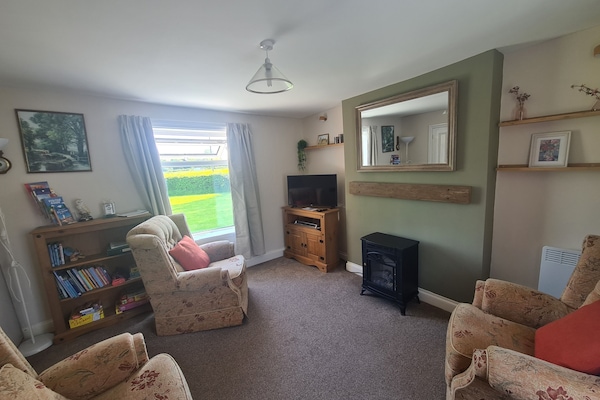 Smart-TV, peis, DVD-spiller og bøker