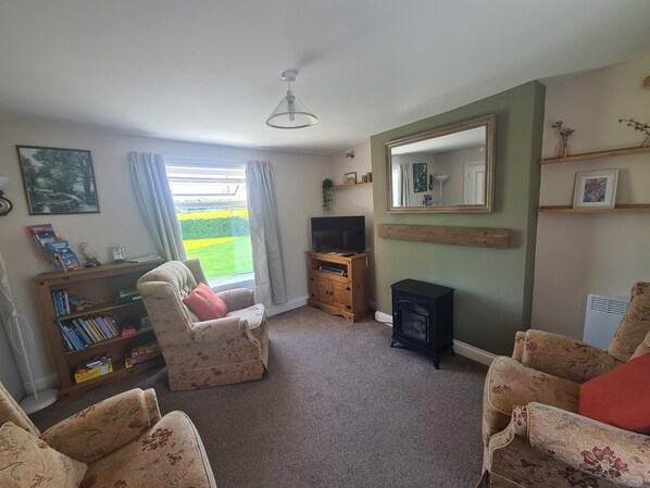 Smart TV, fireplace, DVD player, books