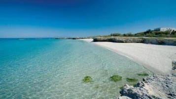 Lettini da mare