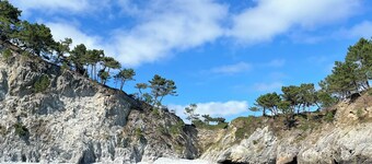 L'ORMEAU - BREATHTAKING VIEWS OF CROZON MORGAT BEACH 