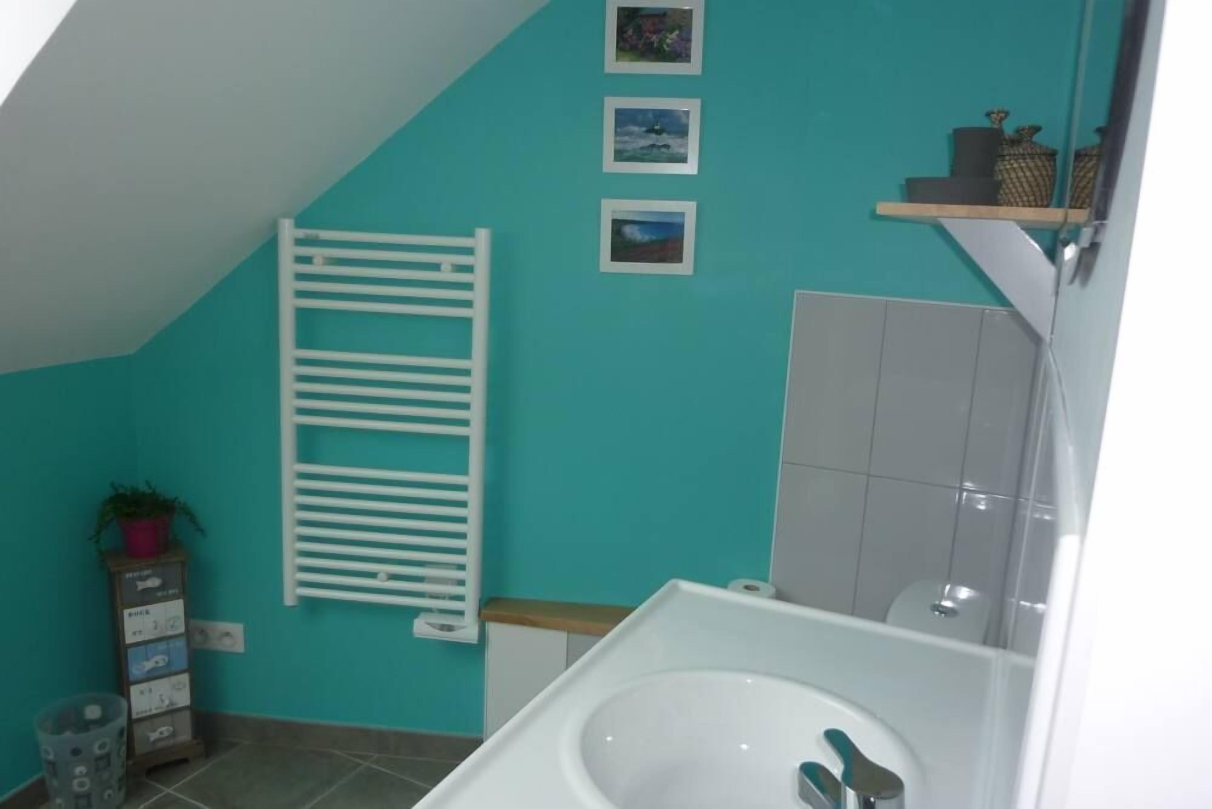 Shower, hair dryer