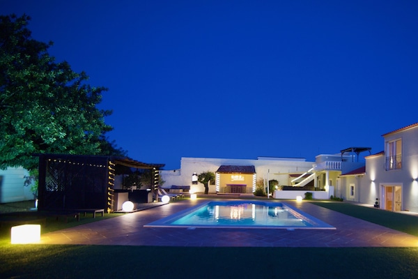 Night view garden