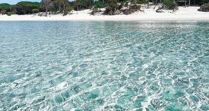 Bei 100 Meter vom Strand Apartment mit idealem Garten 2-6 Personen