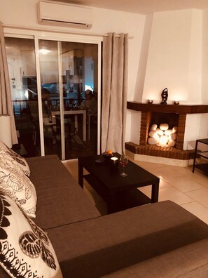 TV, fireplace, DVD player, books
