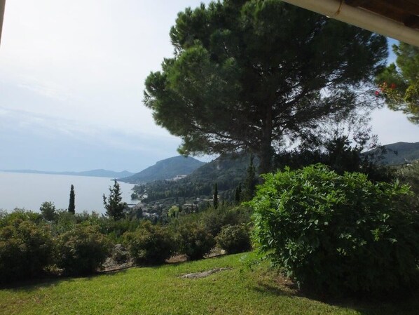 Une vue sur un lac, avec des montagnes en arrière-plan, un grand arbre et quelques plantes vertes au premier plan.