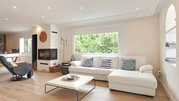 Télévision, cheminée