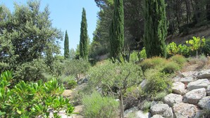 A natural landscape with a variety of trees and shrubs, a stone pathway, and a rocky terrain.