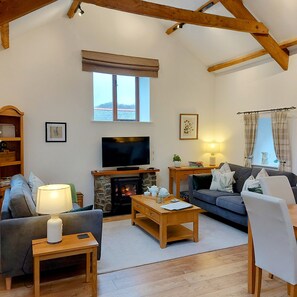 تلفزيون ذكي، مدفأة، مشغل دي في دي، مكتبة فيديو