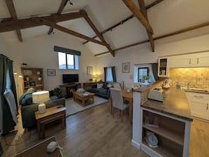 Smart TV, fireplace, DVD player, video library - Rural retreat for 2 with private HOT TUB close to Exmoor and the Coast (Barnstaple Devon)