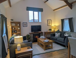 智能电视、壁炉、DVD 播放器、影片库