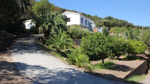Une route goudronnée mène à un bâtiment blanc, entouré d’une végétation luxuriante et de palmiers.