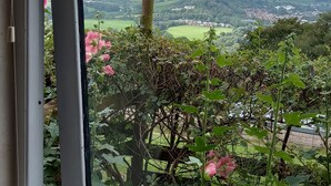 Janela com vista para uma paisagem verde, incluindo árvores e um horizonte distante.