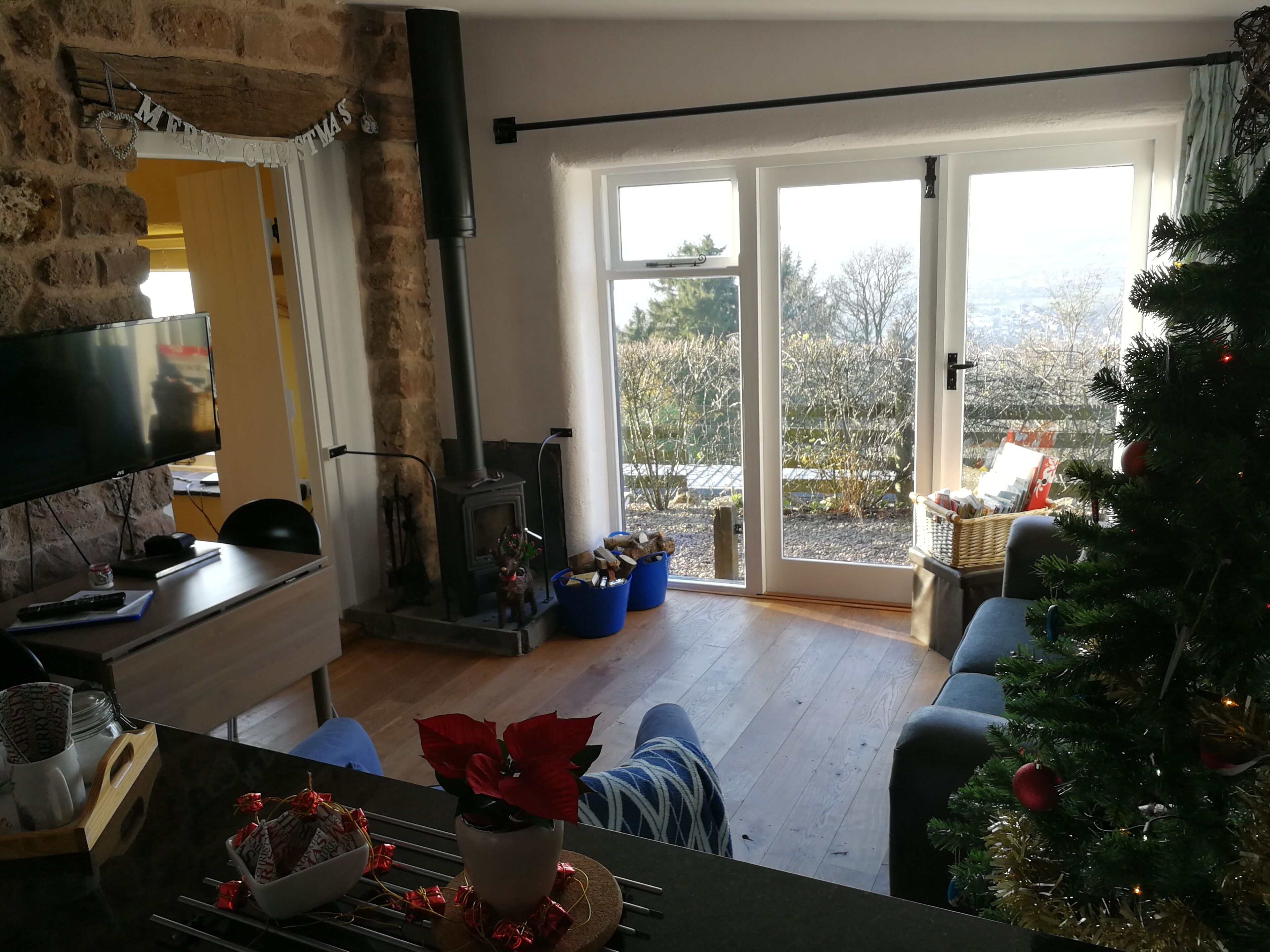 A cozy living room with a fireplace, a TV, a Christmas tree, and a large window with a view of the outdoors.