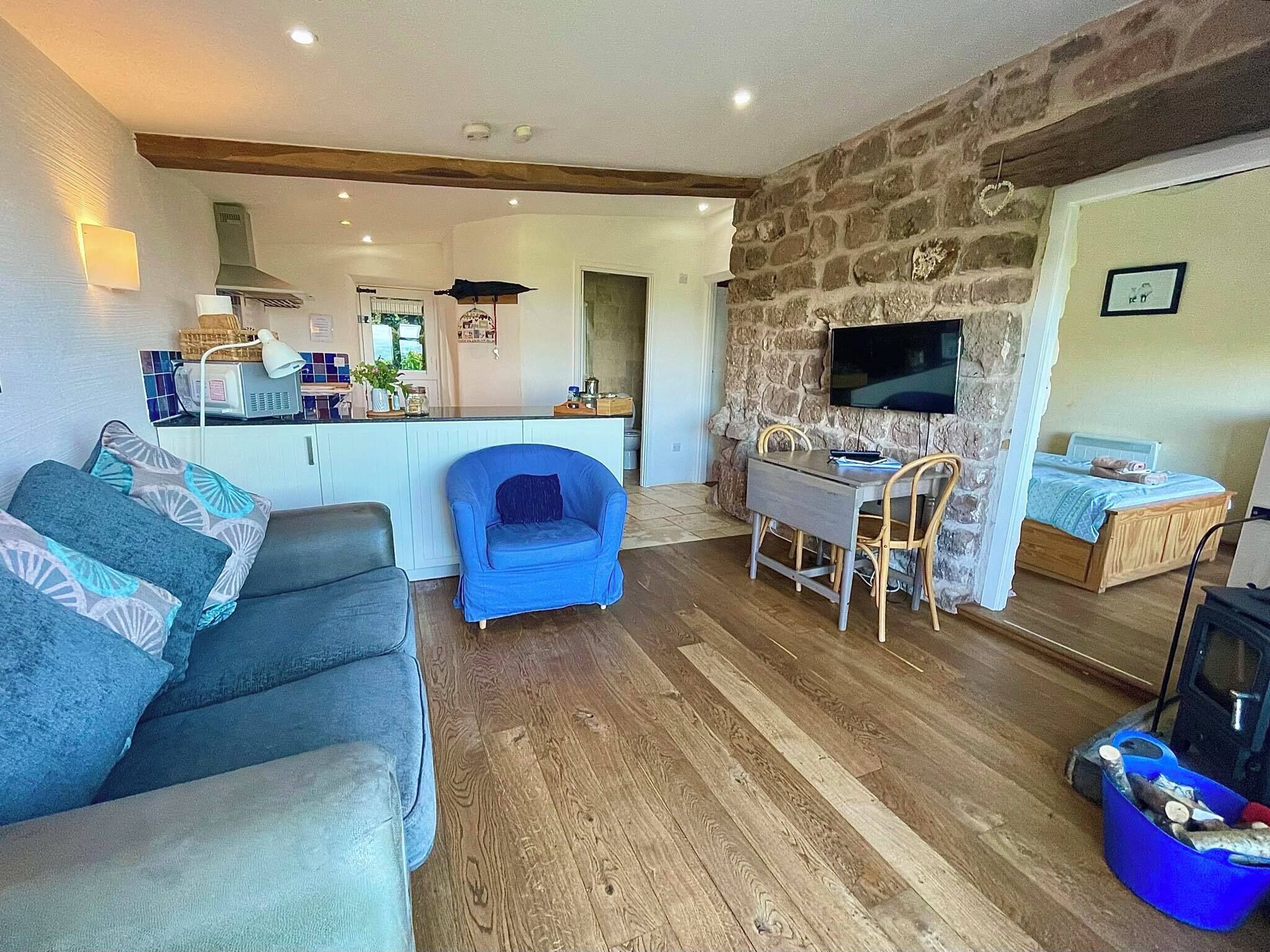 Smart TV, chimenea y libros 