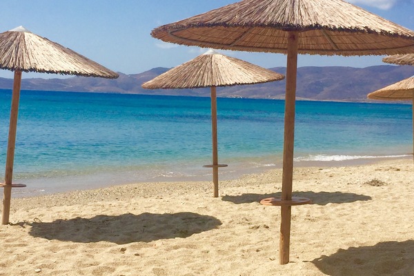 APPARTEMENT FRONT DE MER