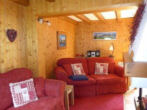 Télévision, cheminée, lecteur de DVD, livres