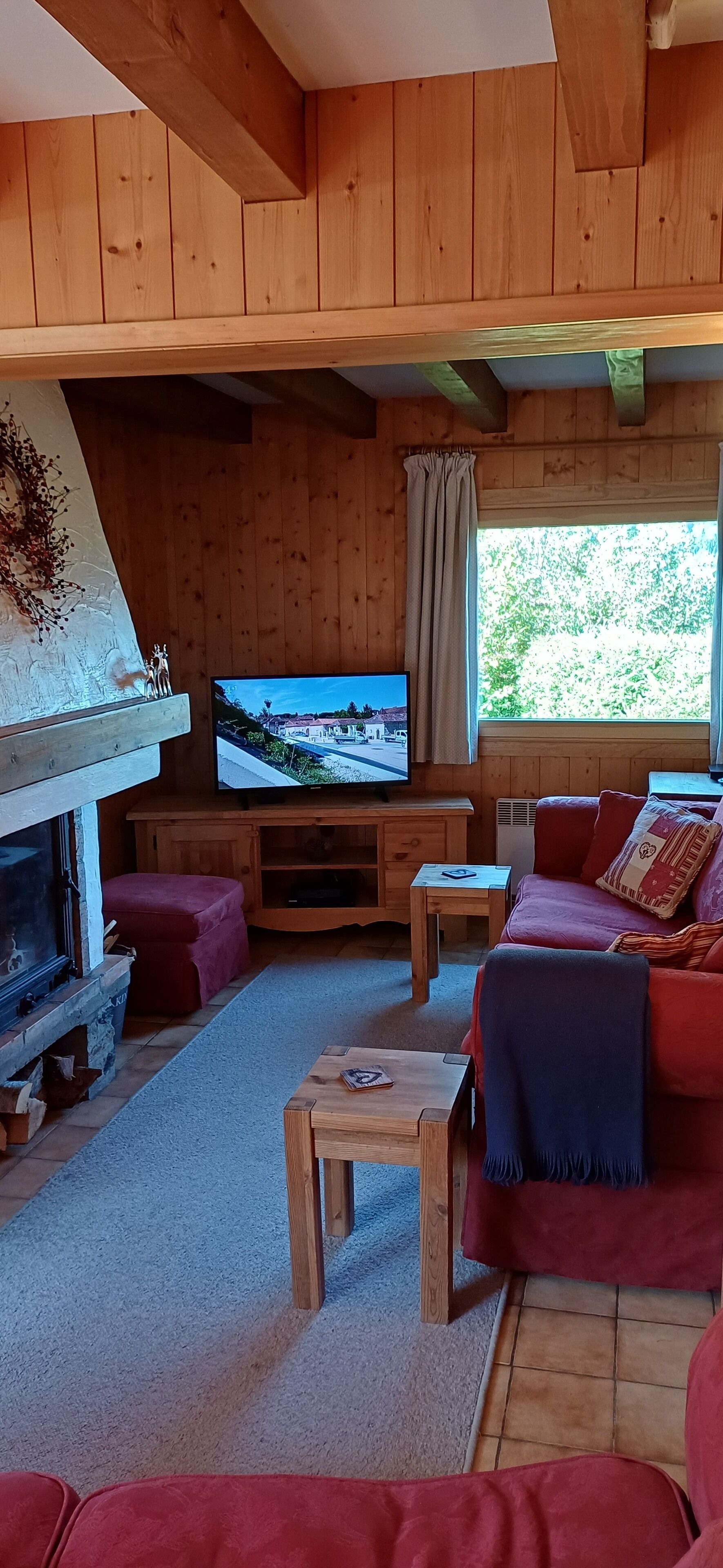 Télévision, cheminée, lecteur de DVD, livres