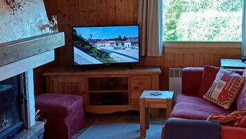 Télévision, cheminée, lecteur de DVD, livres