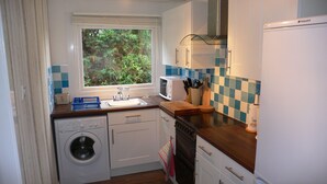 A compact kitchen with a washing machine, a microwave, and a sink. - Beach Chalet With Panoramic Views (Dunbar)
