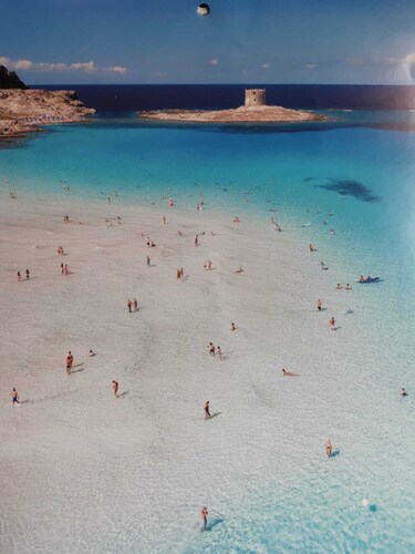 Maison / villa - StintinoMaison avec jardin