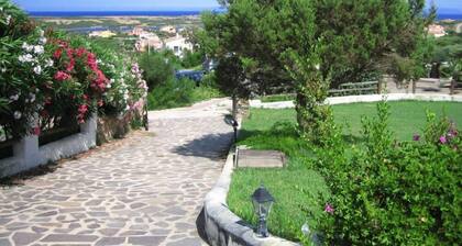 Maison / villa - StintinoMaison avec jardin