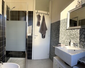 Secador de cabelo, toalhas de banho, sabonete, shampoo