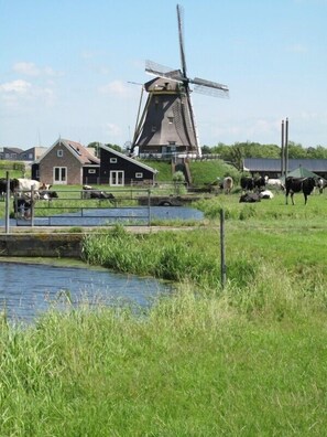 Exterior - Beautiful, country style cottage near the windmill, polder and windmill view (Alphen aan den Rijn)