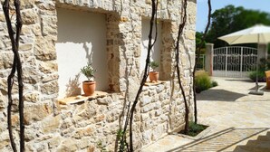 A stone building with two windows, each with a potted plant.