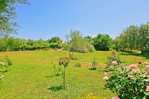Terrain de l’hébergement