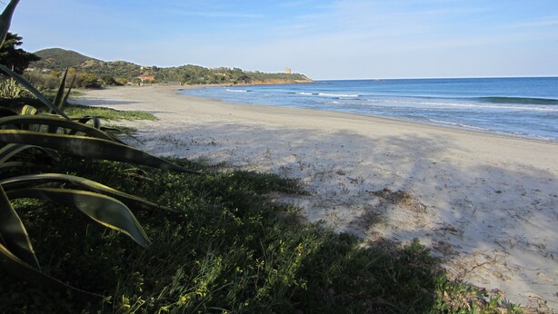 A beach with a clear sky, sandy shore, and vegetation in the foreground.