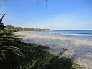 A beach with a clear sky, sandy shore, and vegetation in the foreground.