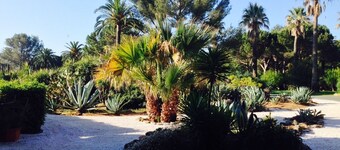 Luxury apartment with stunning views 150 meters of beach.