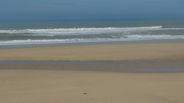 Une plage avec un large rivage sablonneux et des vagues douces.