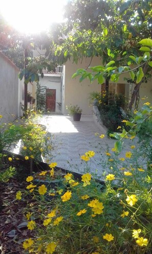 Área da propriedade