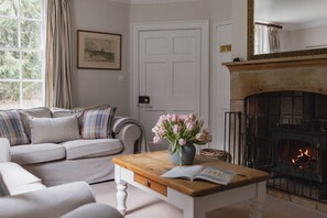 Televisión, chimenea y tenis de mesa 