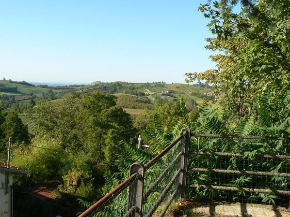 Property grounds - Villa Elma - Cozy Apartment In The Langhe (Cigliè)