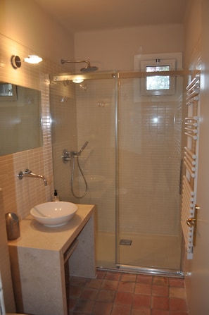 Combined shower/tub, hair dryer, towels