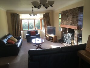 Televisión, chimenea, reproductor de DVD, estéreo