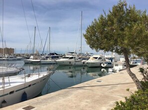 A marina with several yachts docked.