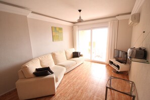 Smart TV, DVD player, books, stereo