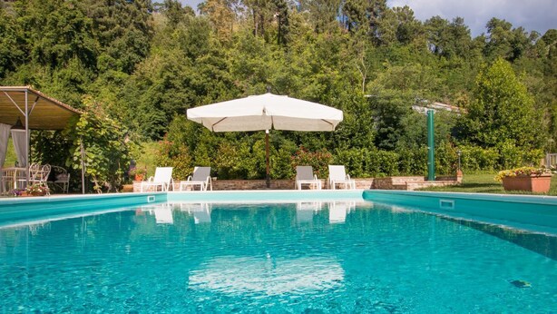 A clear swimming pool with white lounge chairs and a white umbrella, surrounded by lush greenery. - Il Poggiolo, house between country and sea! (Montemagno)