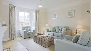 TV connectée, cheminée, lecteur de DVD, livres