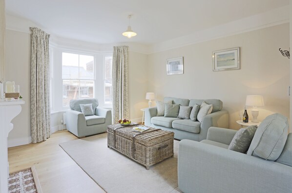 TV connectée, cheminée, lecteur de DVD, livres