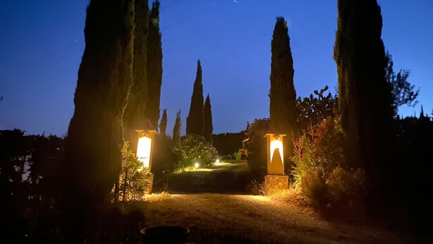 Un sendero bordeado por altos y esbeltos árboles que conduce a una entrada bien iluminada con dos faroles.