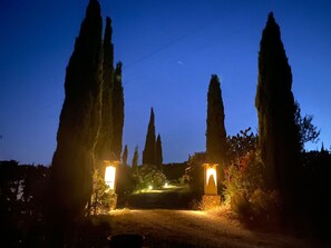 Um caminho ladeado por árvores altas e esguias, conduzindo a uma entrada bem iluminada com duas luminárias.