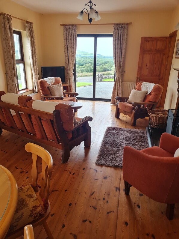 Smart TV, fireplace, DVD player, books