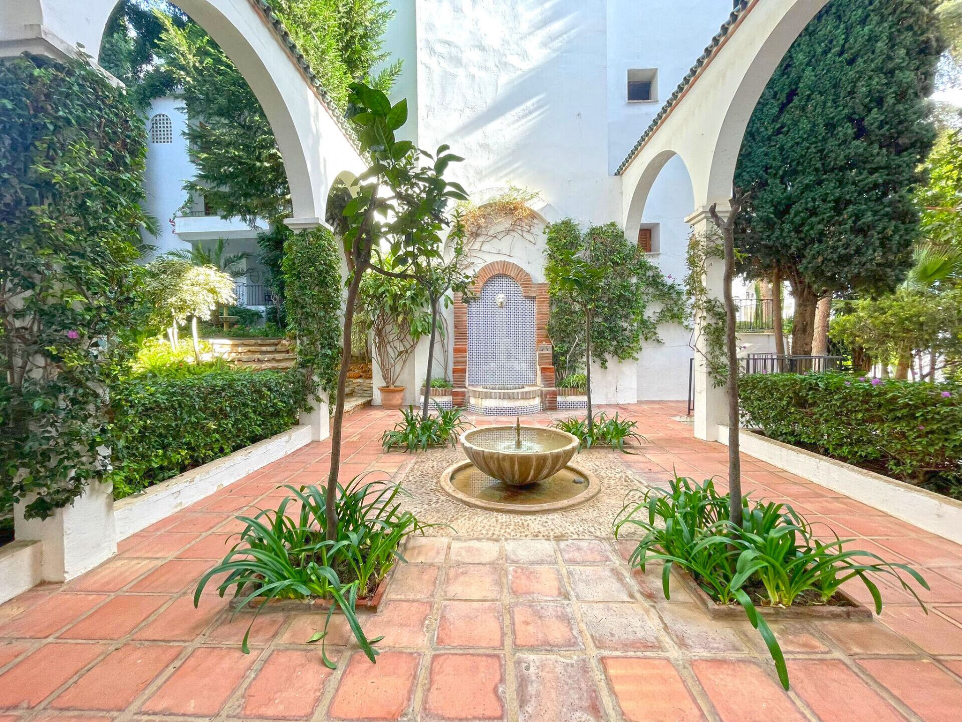 Scenes from the garden