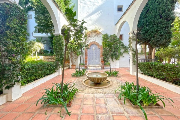 Scenes from the garden