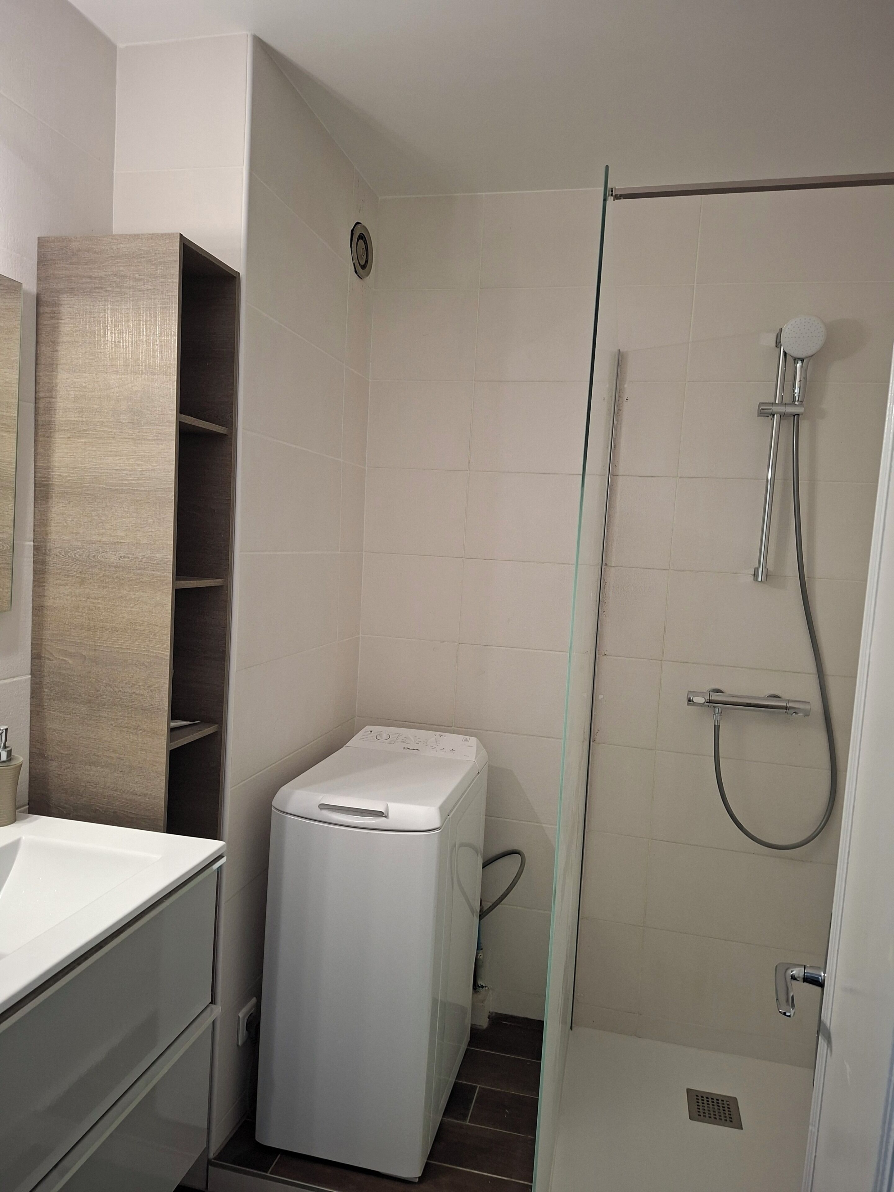 Shower, hair dryer, toilet paper