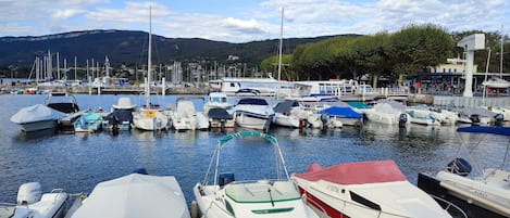 Marina
